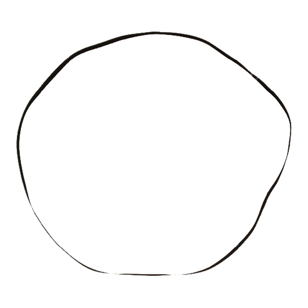 Platte snaar &Oslash; 210 mm - 5 x 0,6 mm