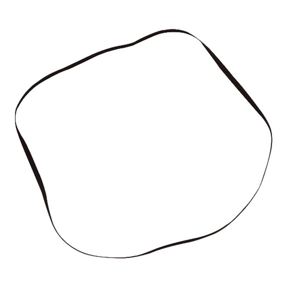 Platte snaar &Oslash; 194 mm - 5 x 0,6 mm