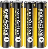 4  Stuks passende batterijen - Alkaline 