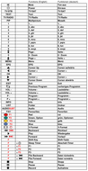 Vervangende afstandsbediening voor Goldenmedia S-BOX 776CR PVR | SPARK ONE